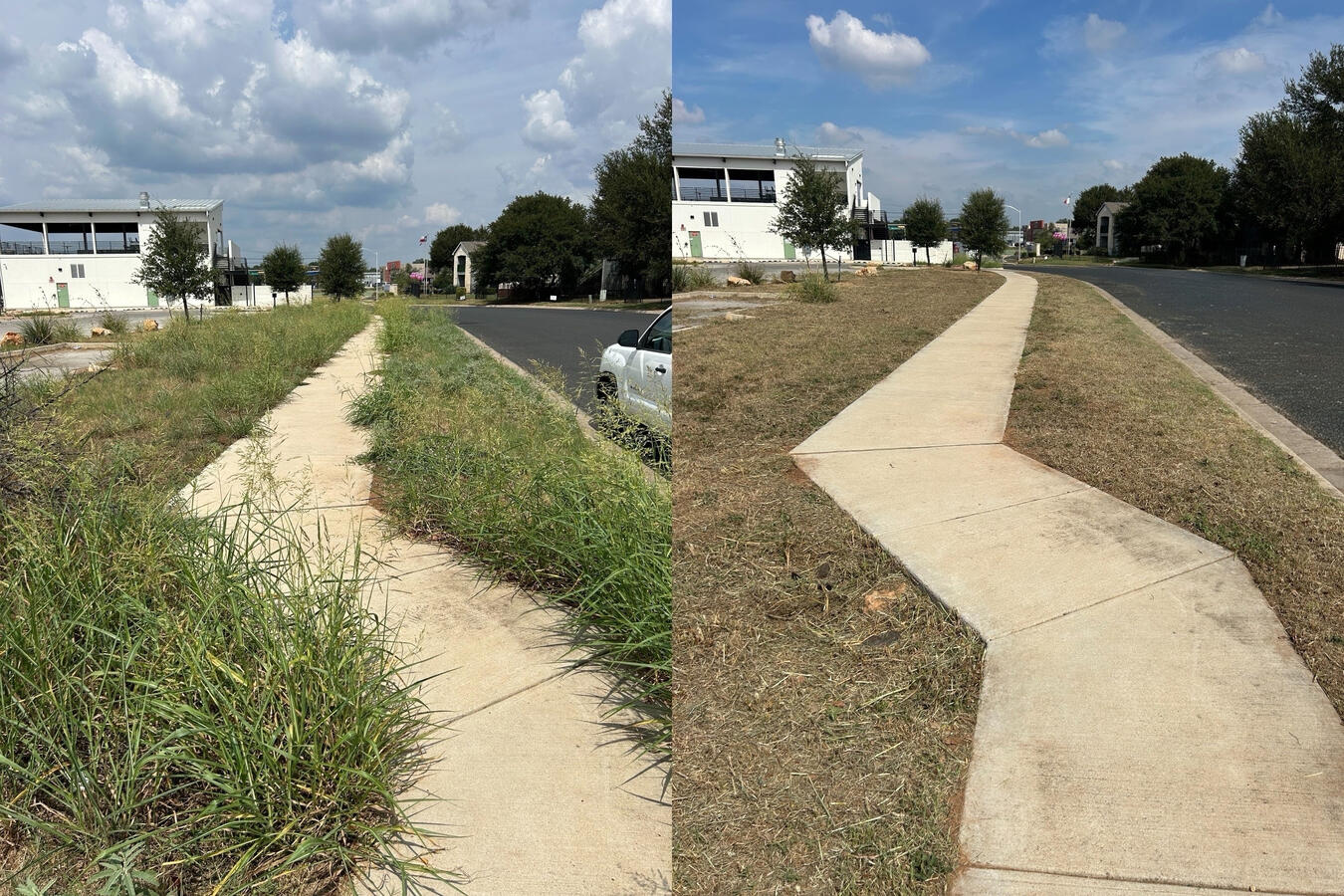 Grass sidewalk Grass sidewalk